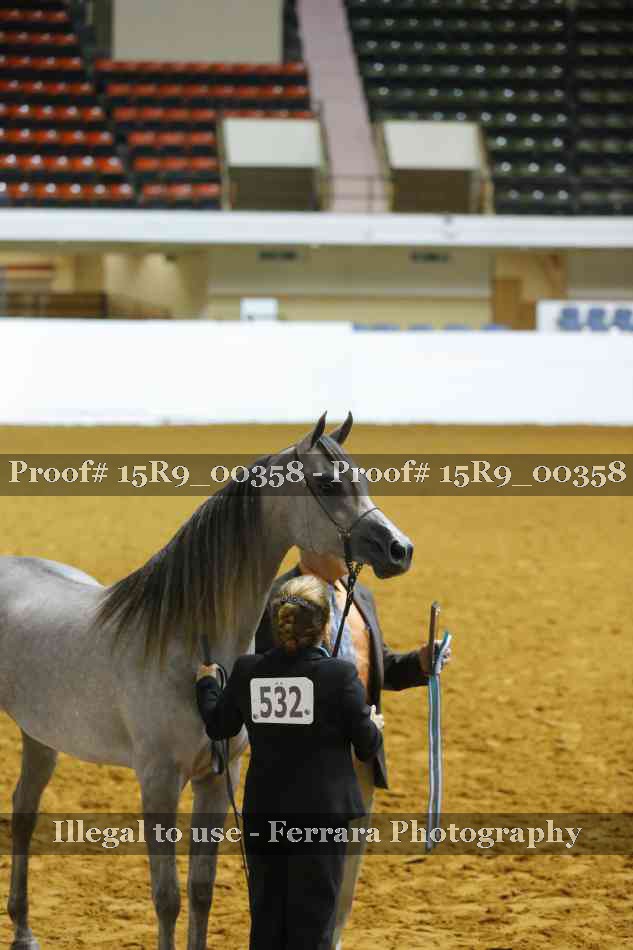 Proof 15R9_00358