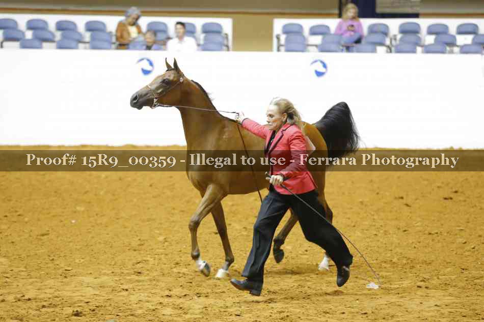 Proof 15R9_00359