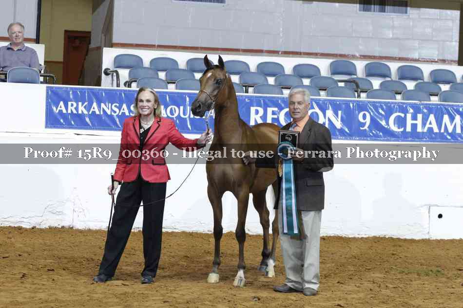 Proof 15R9_00360