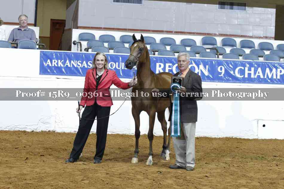 Proof 15R9_00361