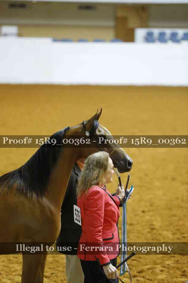 Proof 15R9_00362