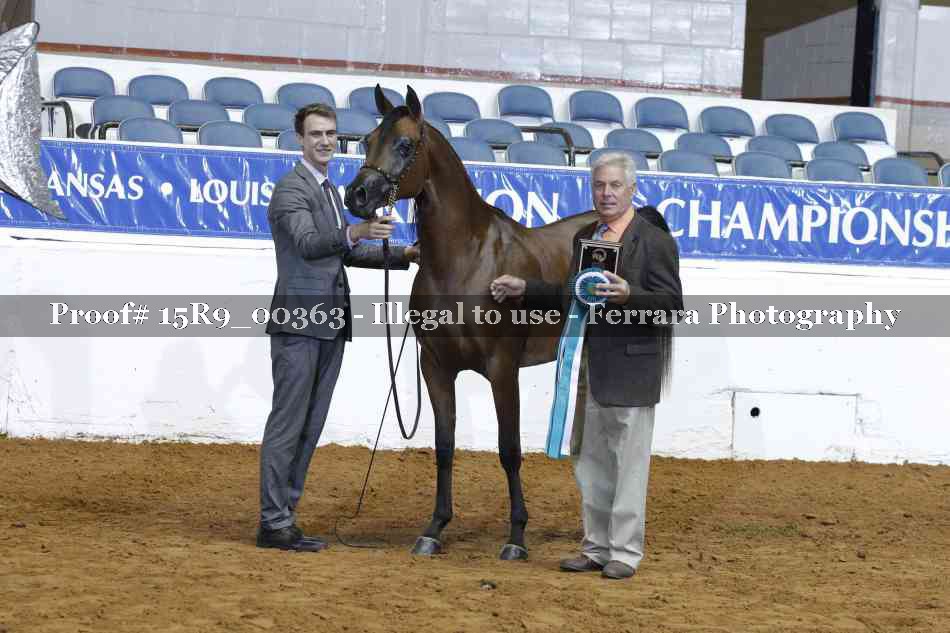 Proof 15R9_00363
