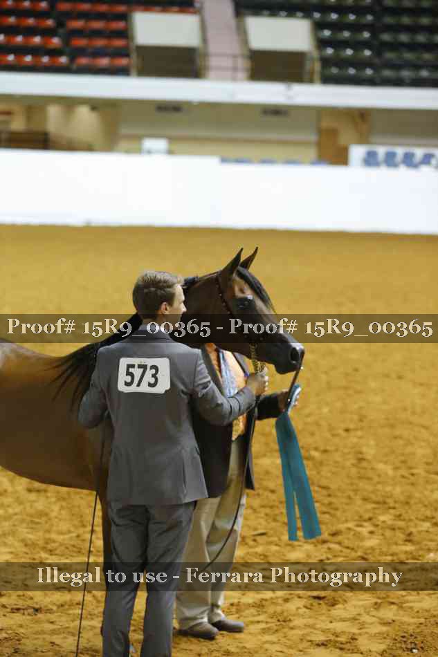 Proof 15R9_00365