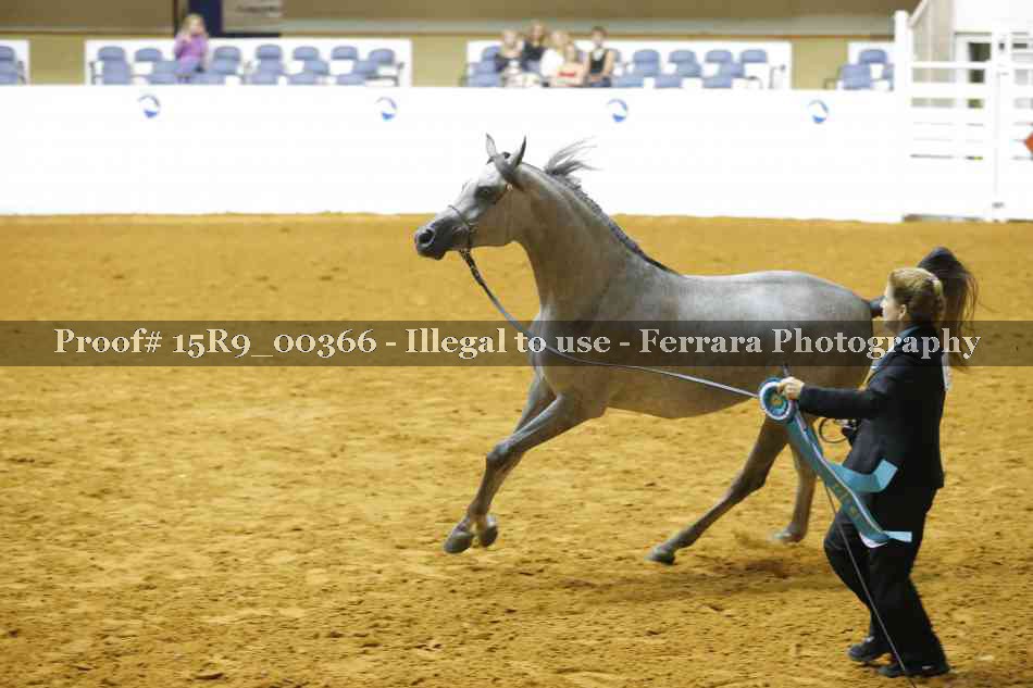 Proof 15R9_00366