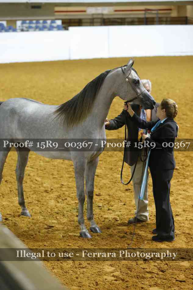 Proof 15R9_00367