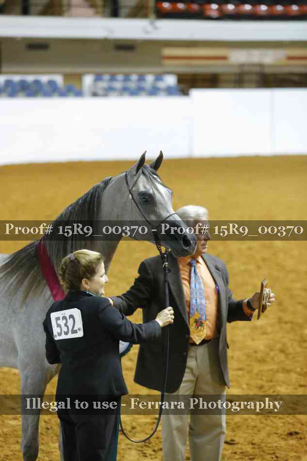 Proof 15R9_00370