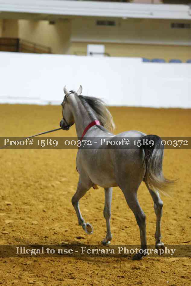 Proof 15R9_00372