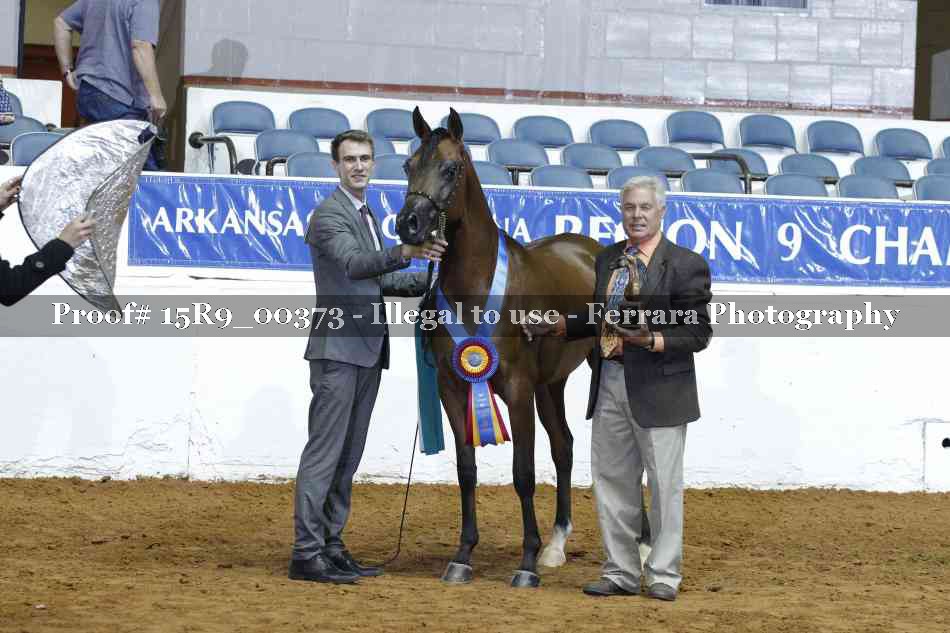 Proof 15R9_00373