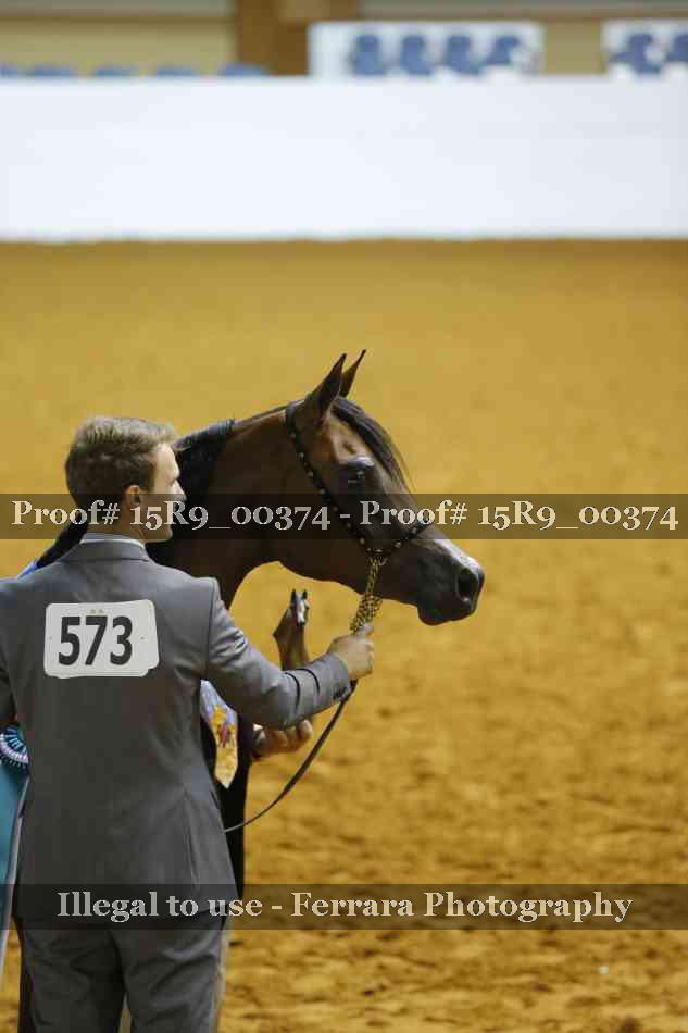 Proof 15R9_00374