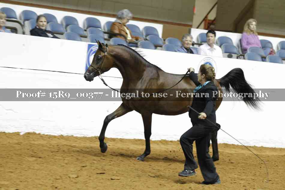 Proof 15R9_00377