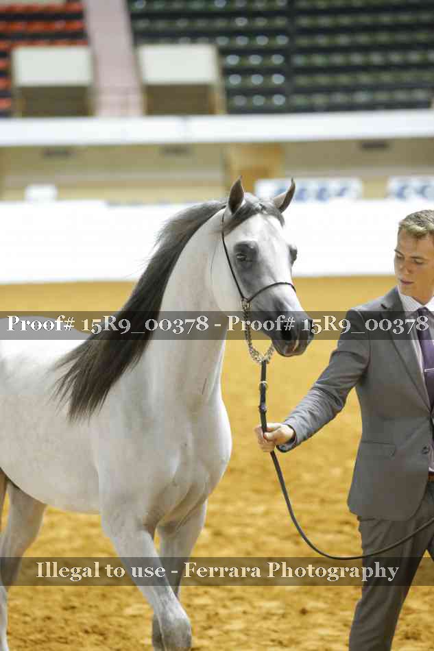Proof 15R9_00378