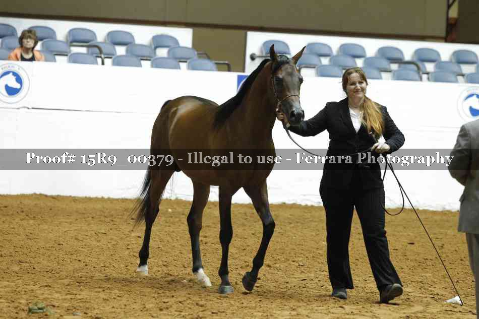 Proof 15R9_00379