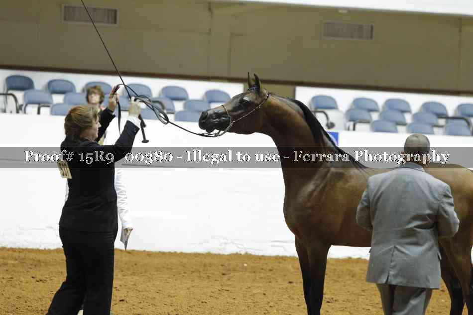 Proof 15R9_00380
