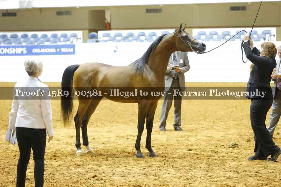 Proof 15R9_00381