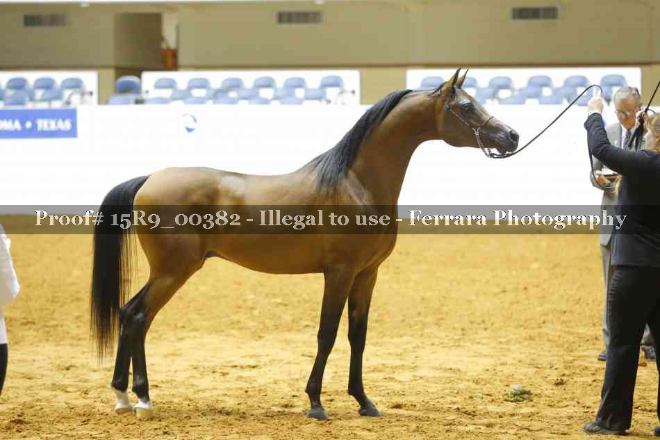 Proof 15R9_00382