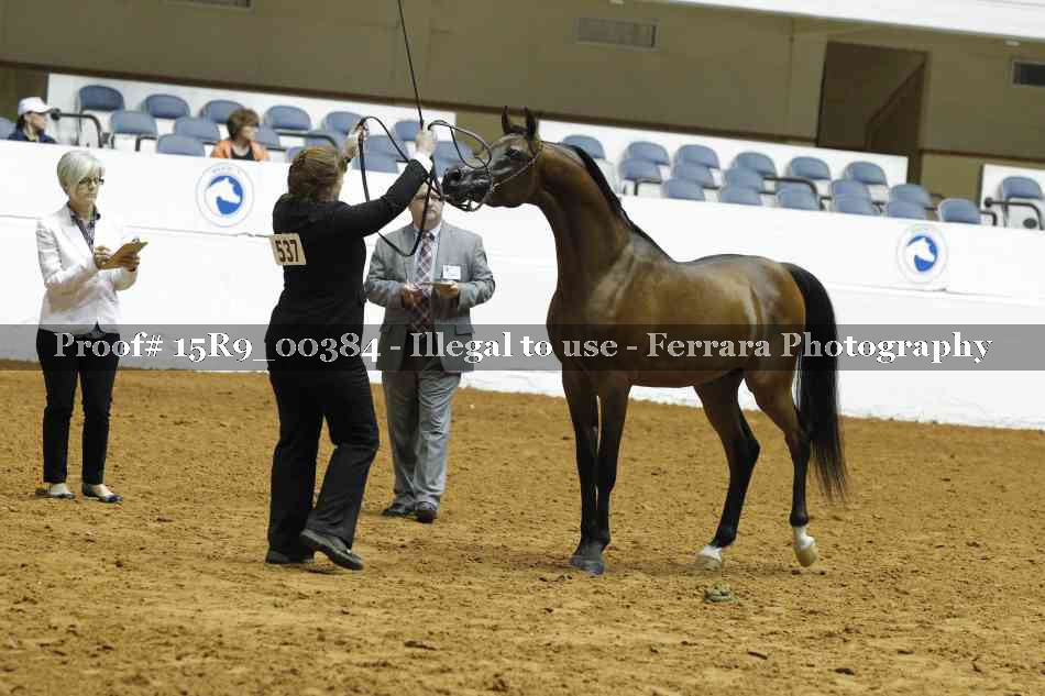 Proof 15R9_00384