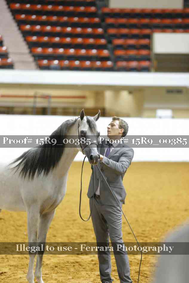 Proof 15R9_00385