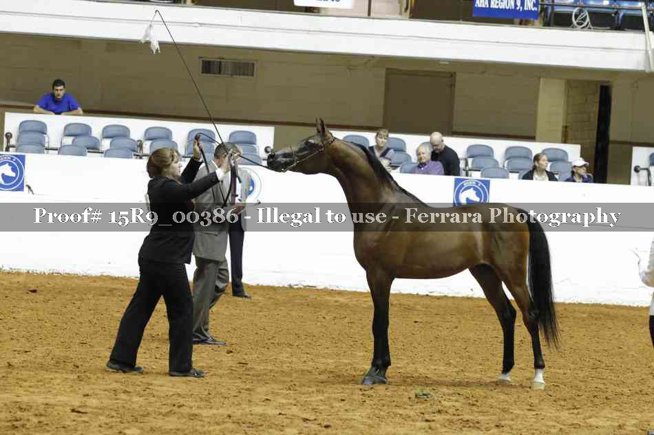 Proof 15R9_00386