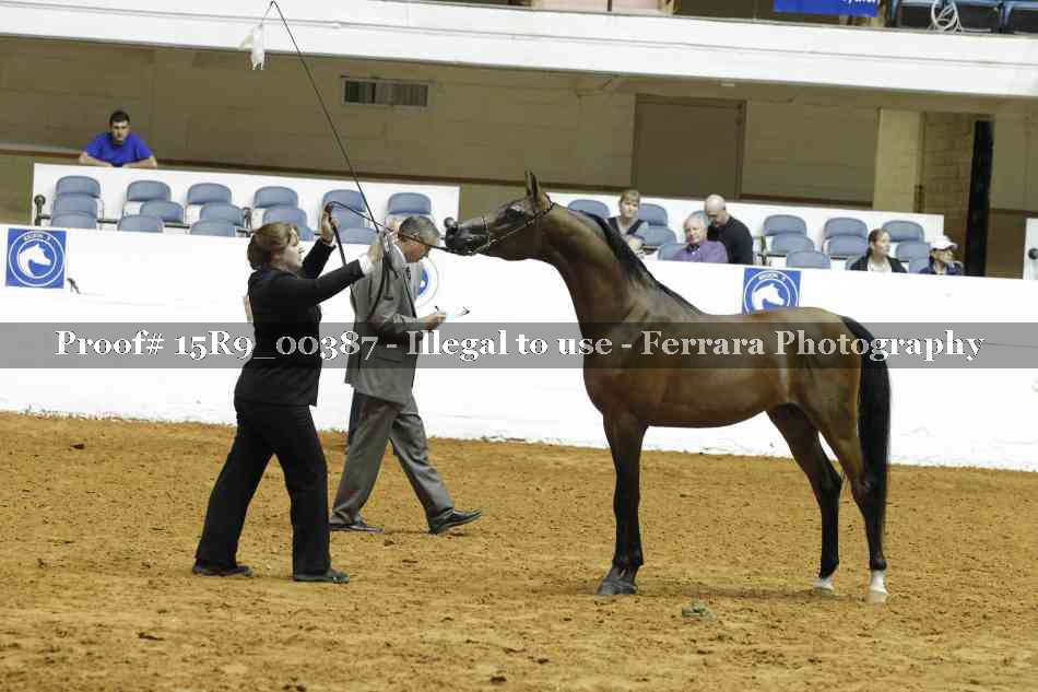 Proof 15R9_00387