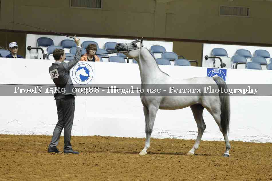 Proof 15R9_00388
