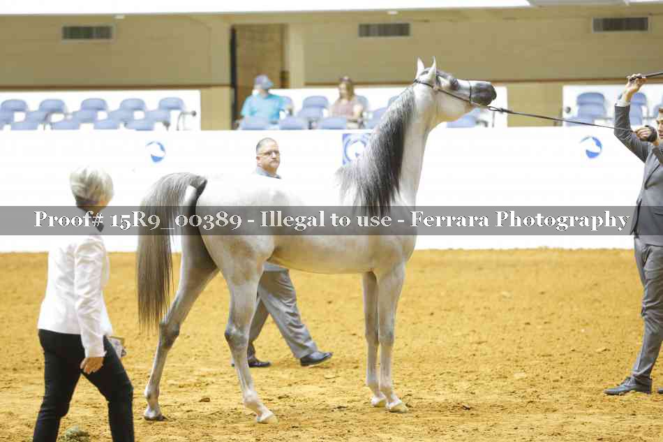 Proof 15R9_00389