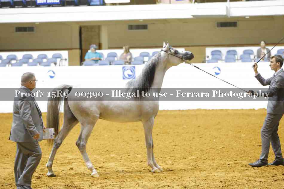 Proof 15R9_00390