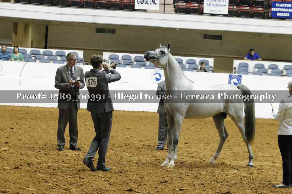 Proof 15R9_00391