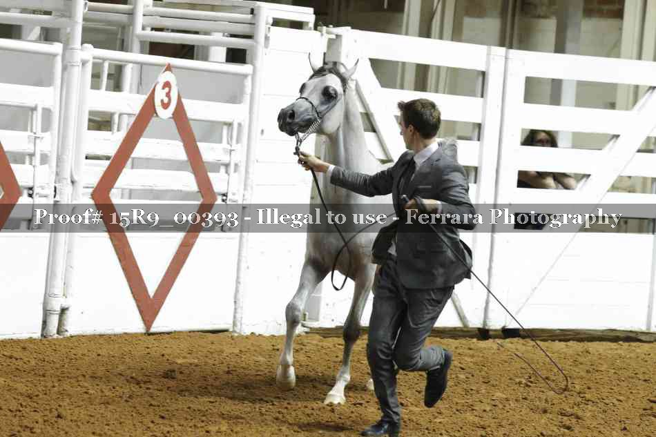 Proof 15R9_00393