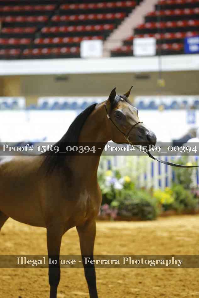 Proof 15R9_00394