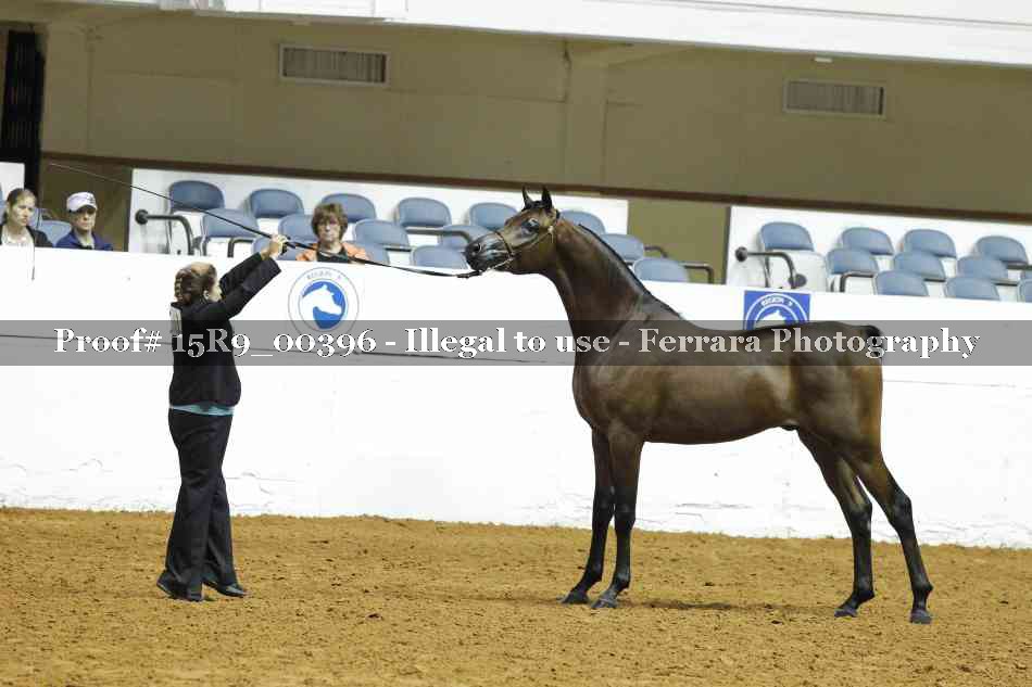 Proof 15R9_00396