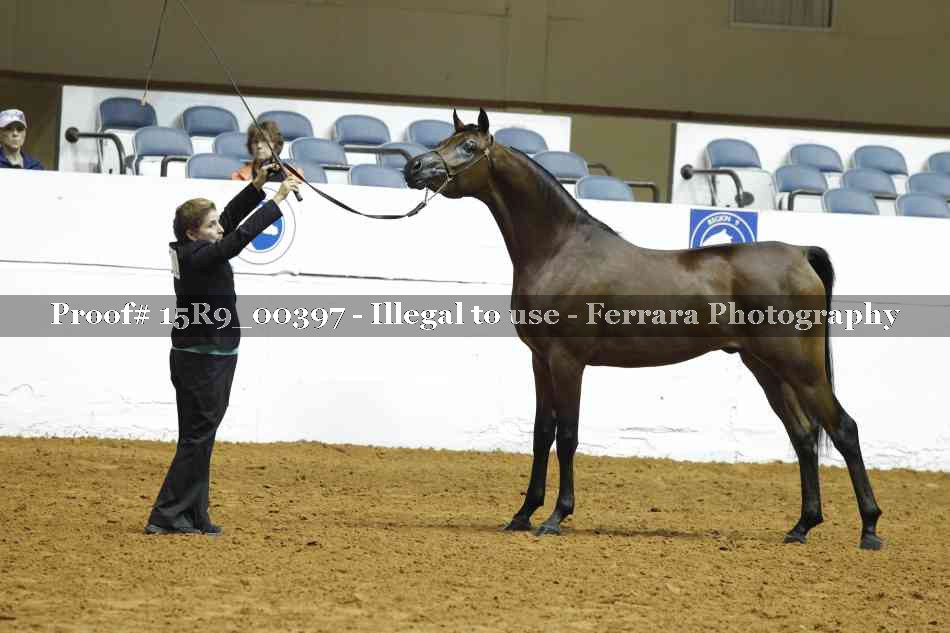 Proof 15R9_00397