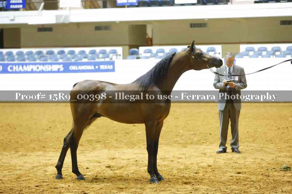 Proof 15R9_00398