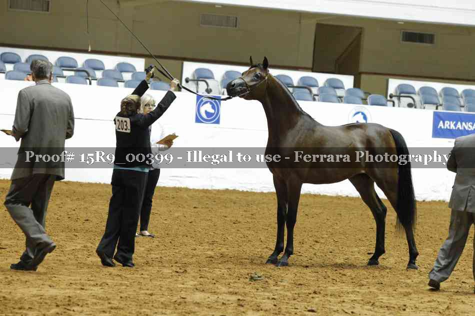 Proof 15R9_00399