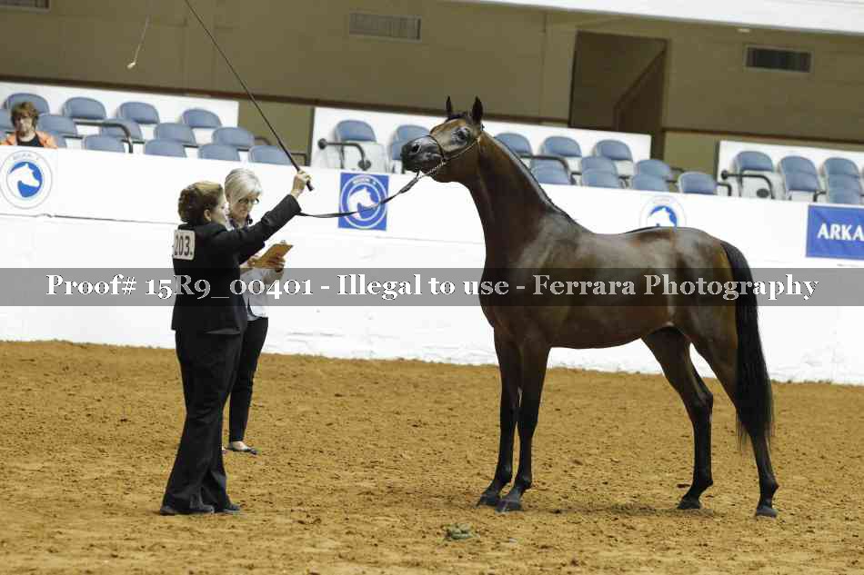 Proof 15R9_00401