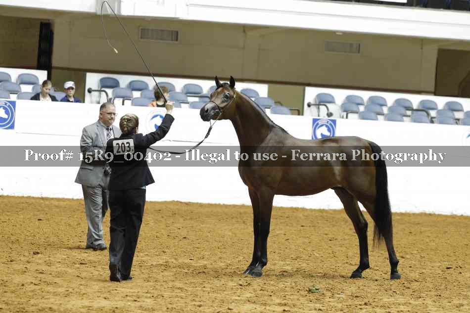 Proof 15R9_00402