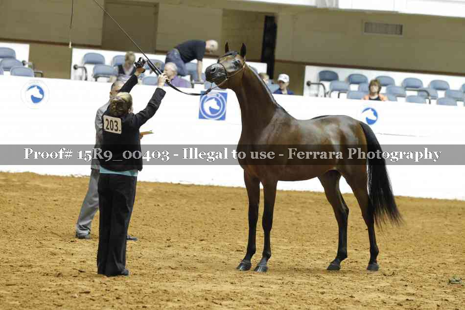 Proof 15R9_00403