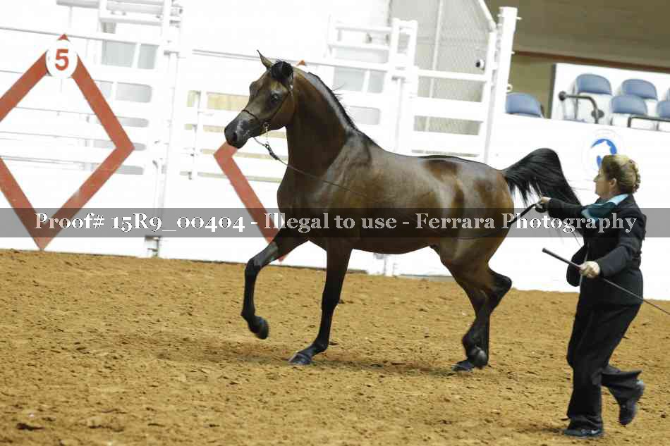 Proof 15R9_00404