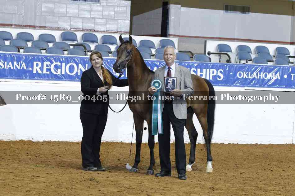 Proof 15R9_00405