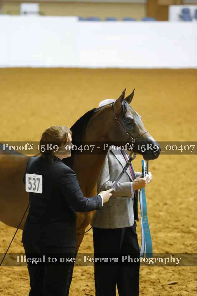 Proof 15R9_00407