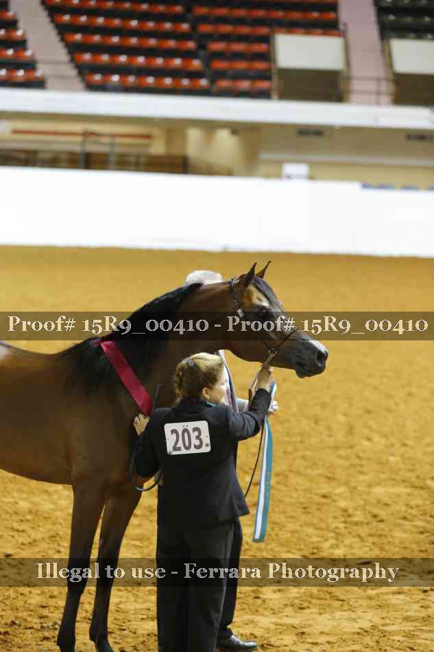 Proof 15R9_00410