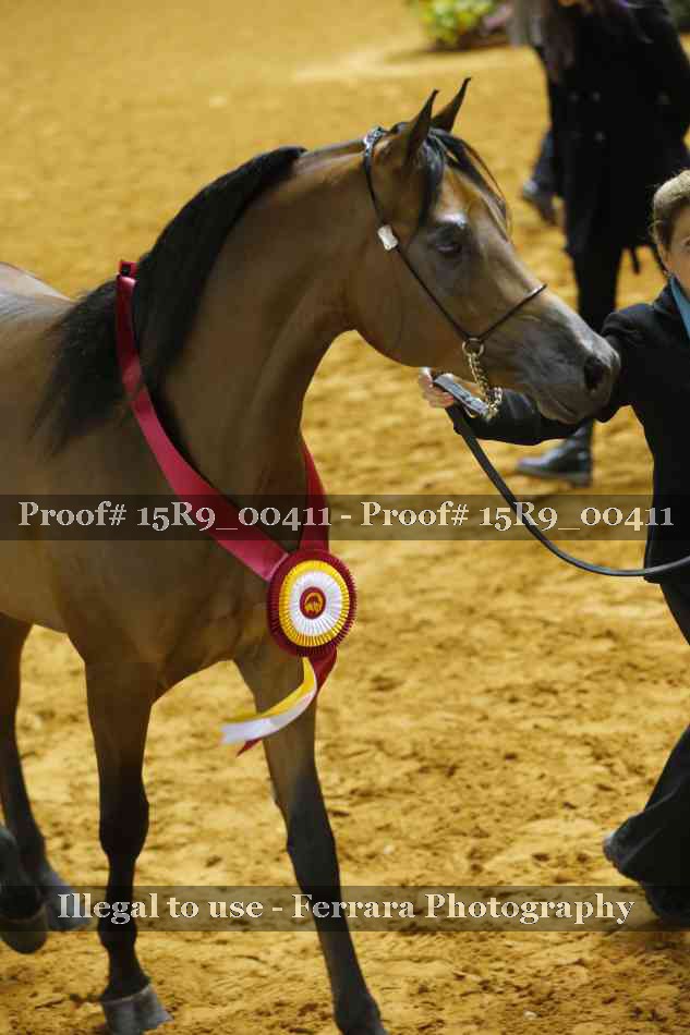 Proof 15R9_00411