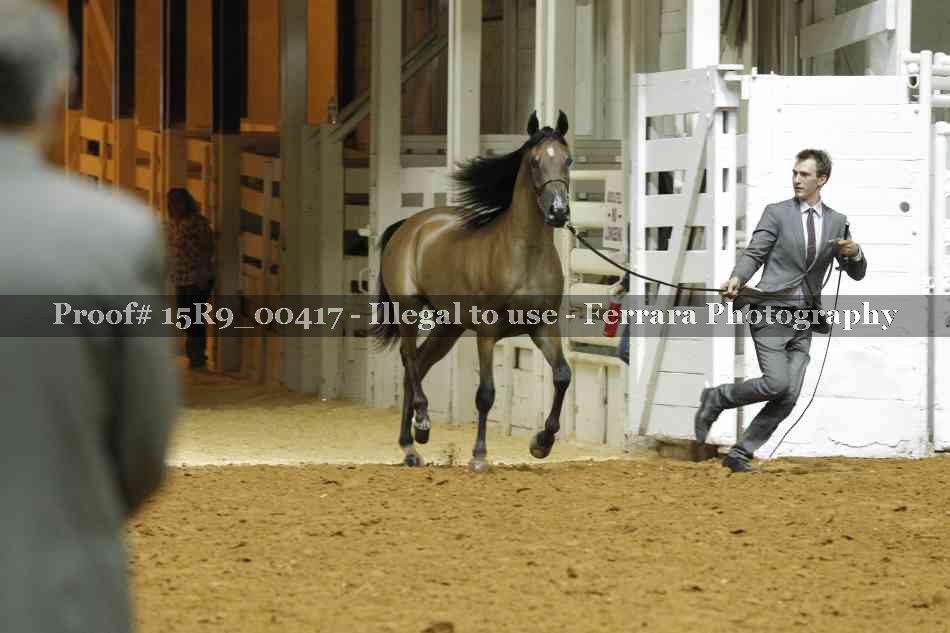 Proof 15R9_00417