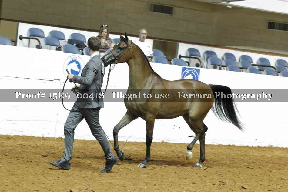 Proof 15R9_00418