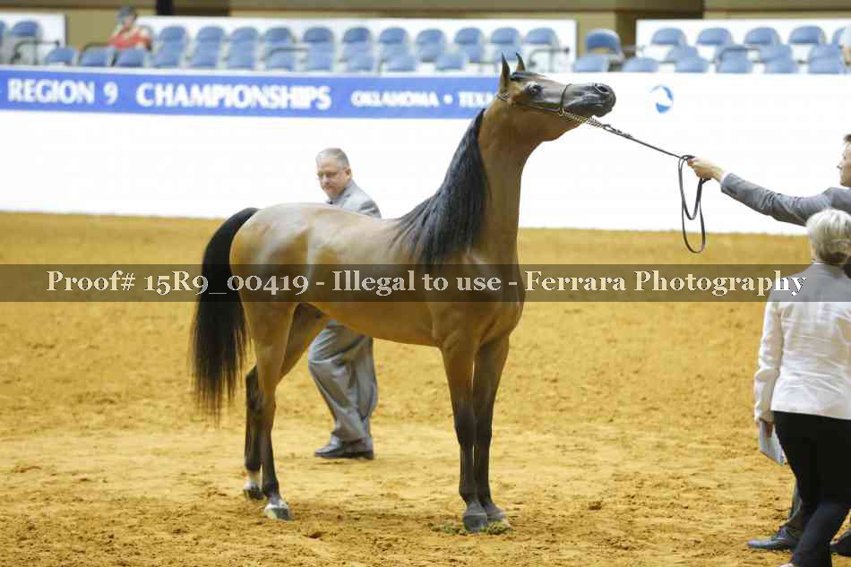 Proof 15R9_00419