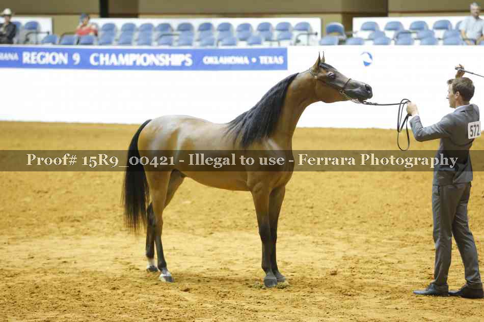 Proof 15R9_00421