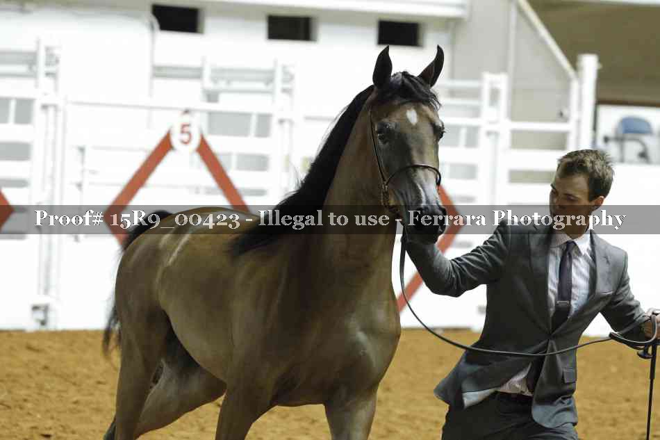 Proof 15R9_00423