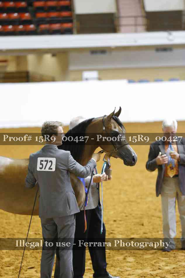 Proof 15R9_00427