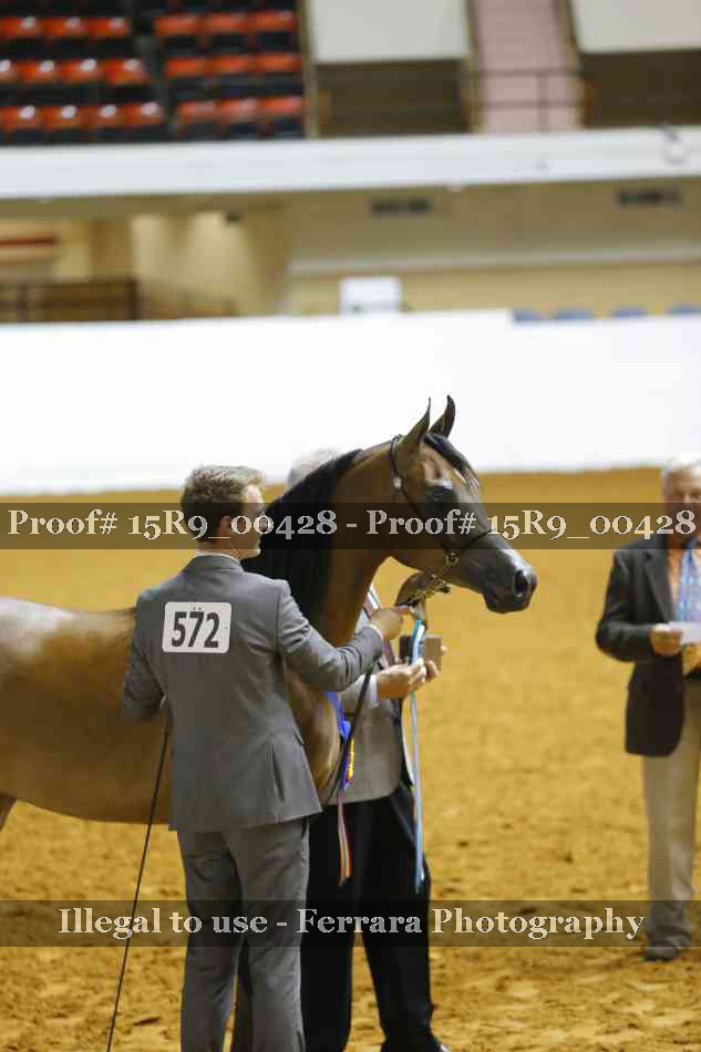 Proof 15R9_00428