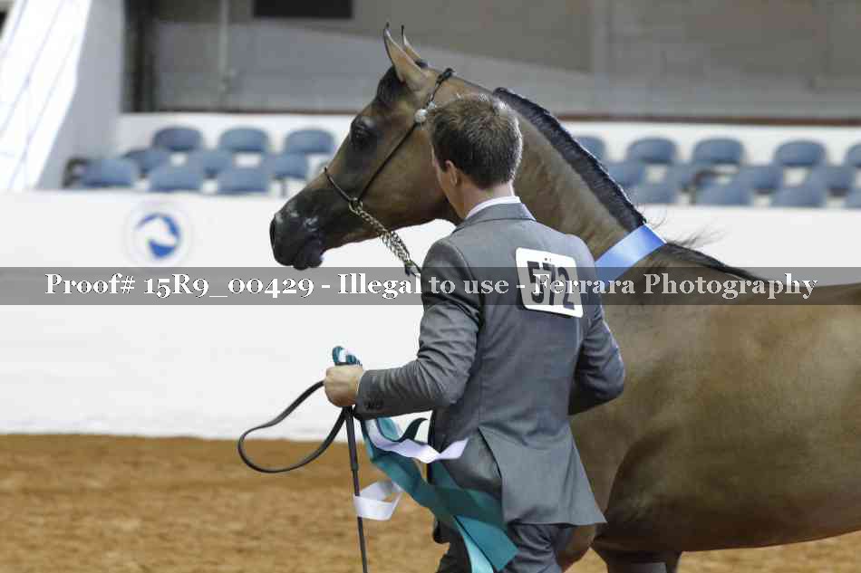 Proof 15R9_00429