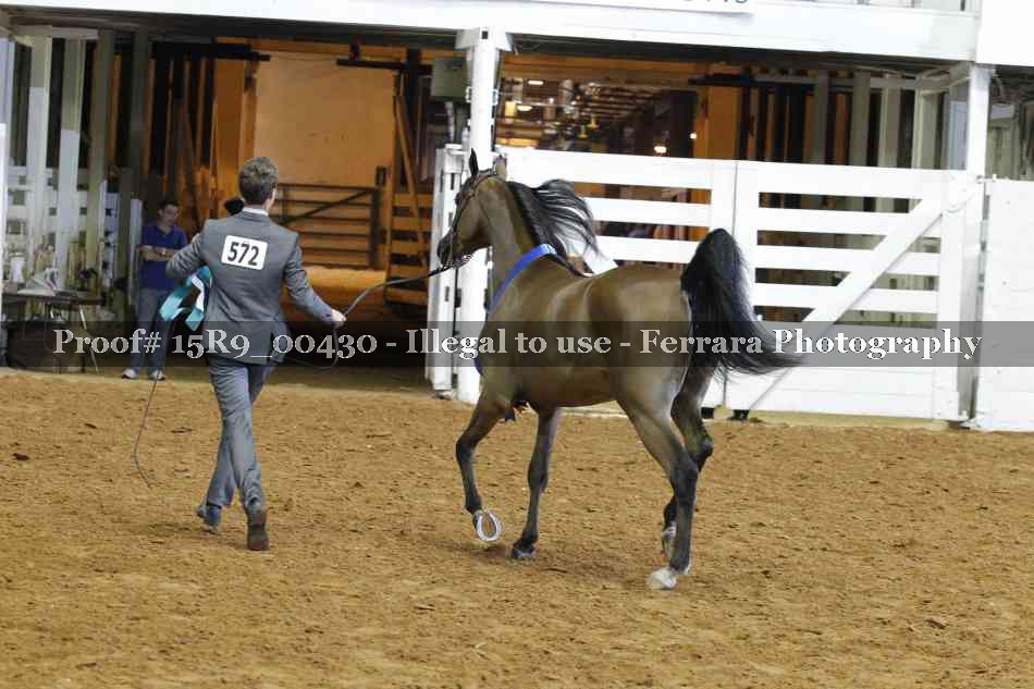 Proof 15R9_00430
